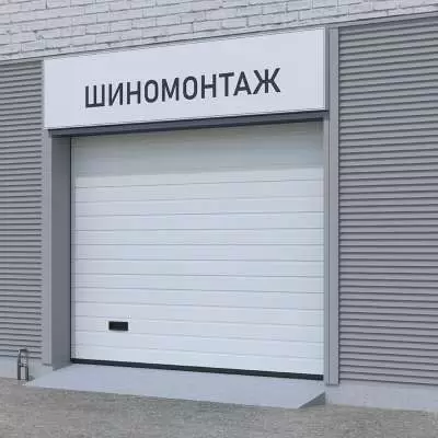 Промышленные ворота ProPlus в стандартном цвете Промышленные ворота цвет белый